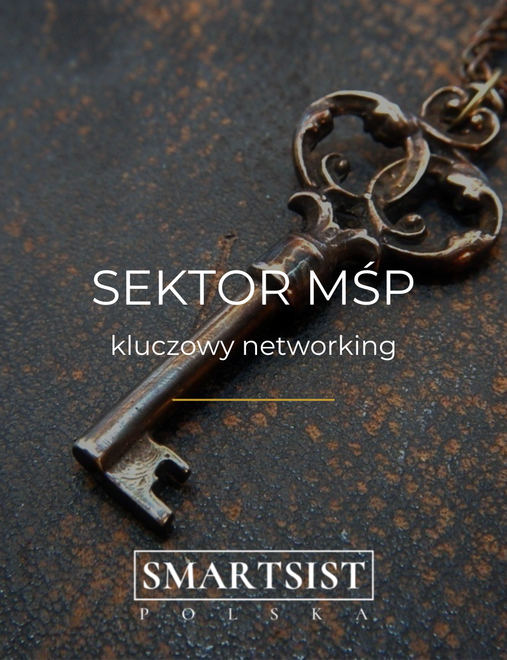 Networking kluczowy dla sektora MSP